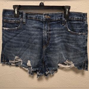 Aerie Denim Distressed Shorts